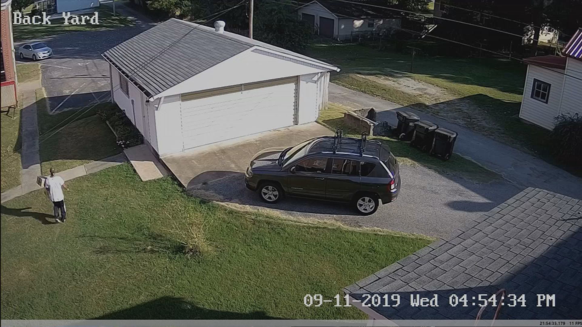 PORCH BANDIT 5.jpg